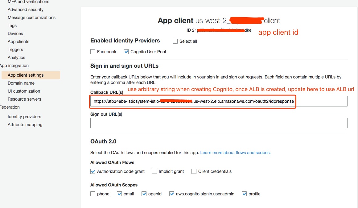 Cognito Application Client Setting